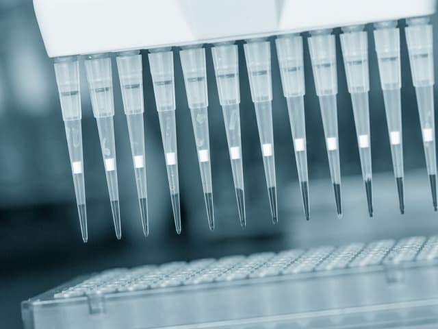molecular-studies